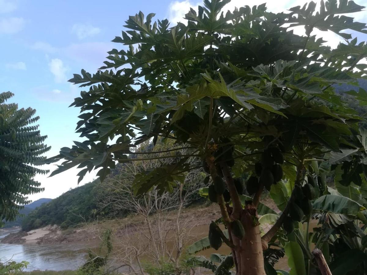 Апартаменты Mekong Backpackers Пакбенг Экстерьер фото